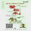 业务头像