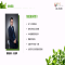Manager Avatar