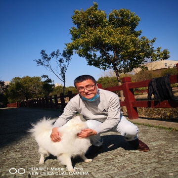 业务头像